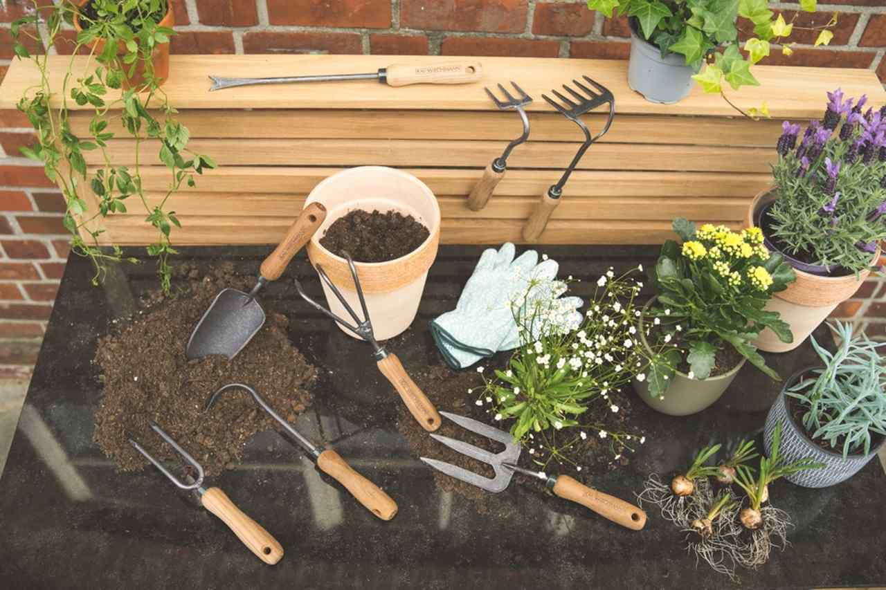 Garten Profi Verkauf -Garten Profi Verkauf 100kb roma 3107