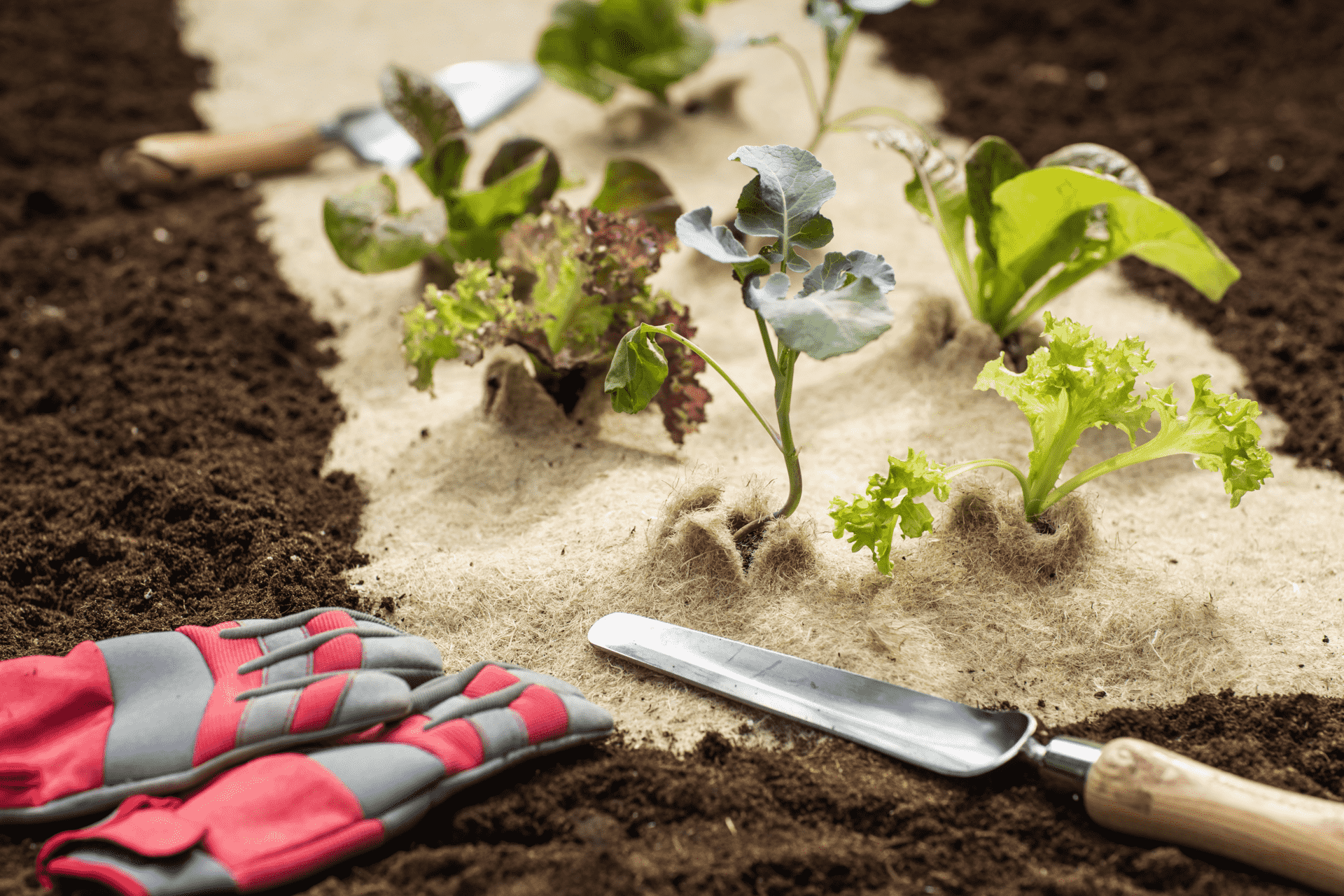 Garten Profi Verkauf -Garten Profi Verkauf 90584.621e669f min