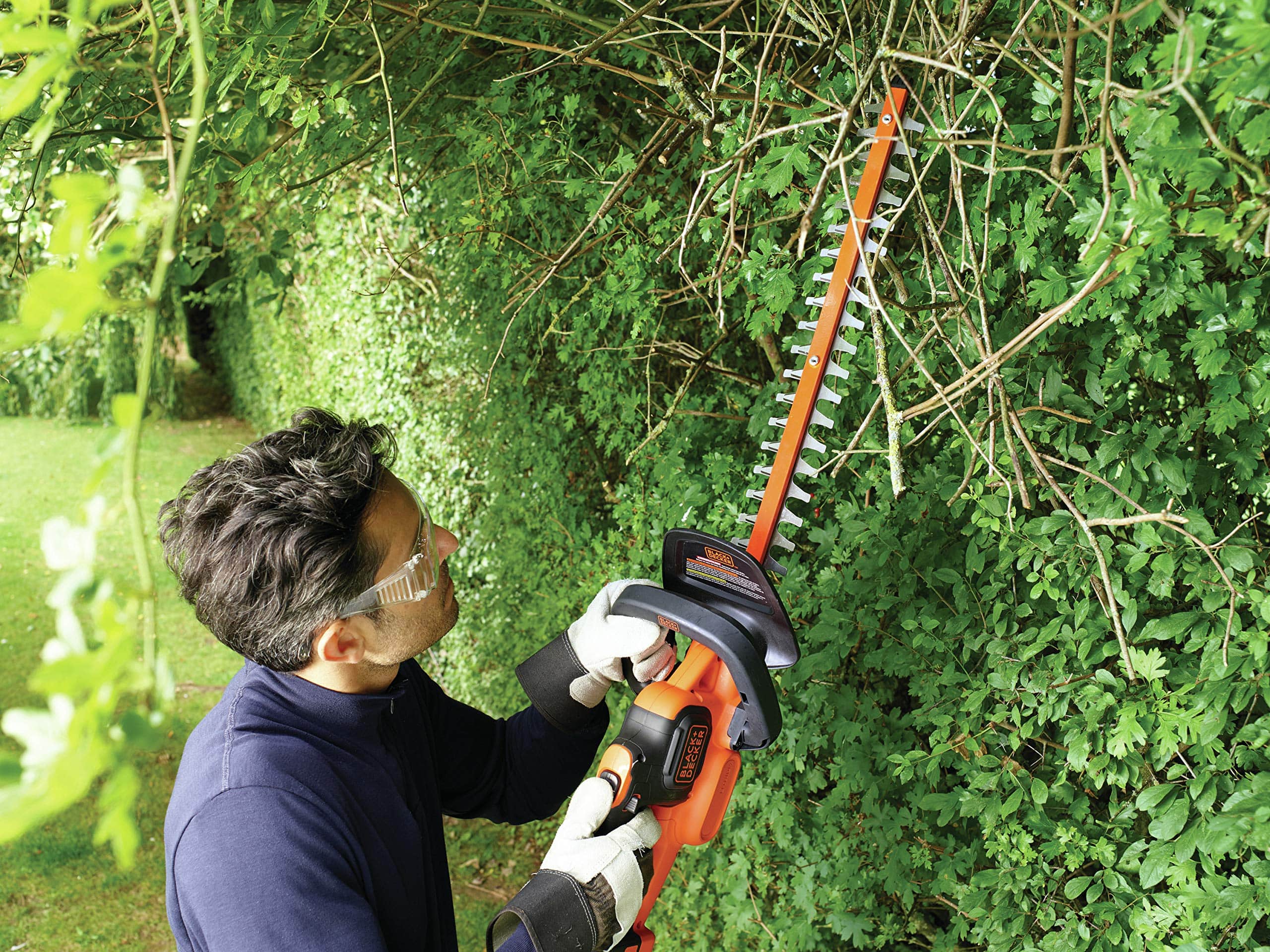 Garten Profi Verkauf -Garten Profi Verkauf A1QtTq23gQL min